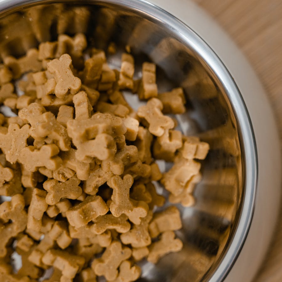 Bone-shaped biscuits in a stainless bowl