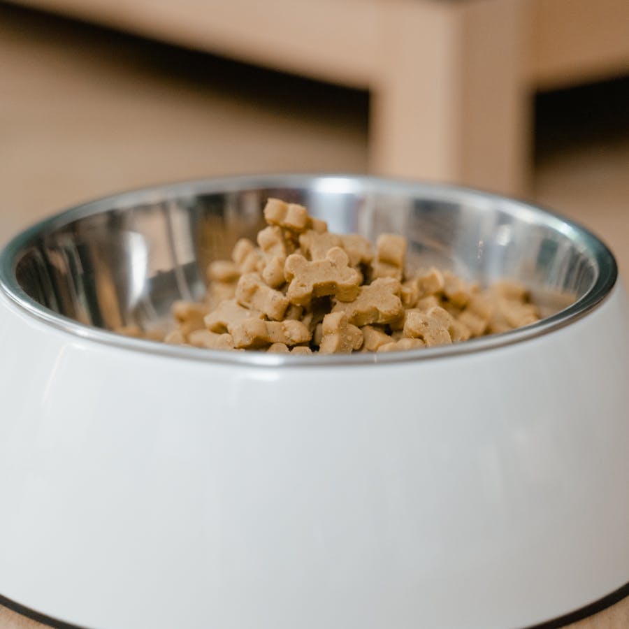 Stainless steel bowl with treats