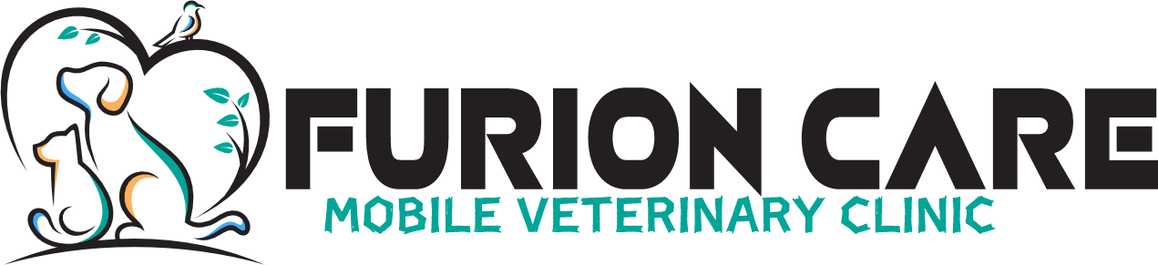 Furion Care Logo